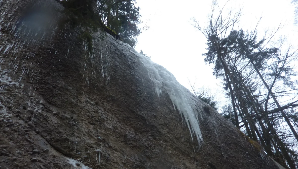 DAV-Senioren unterwegs im Eistobel | © Max Bischofberger