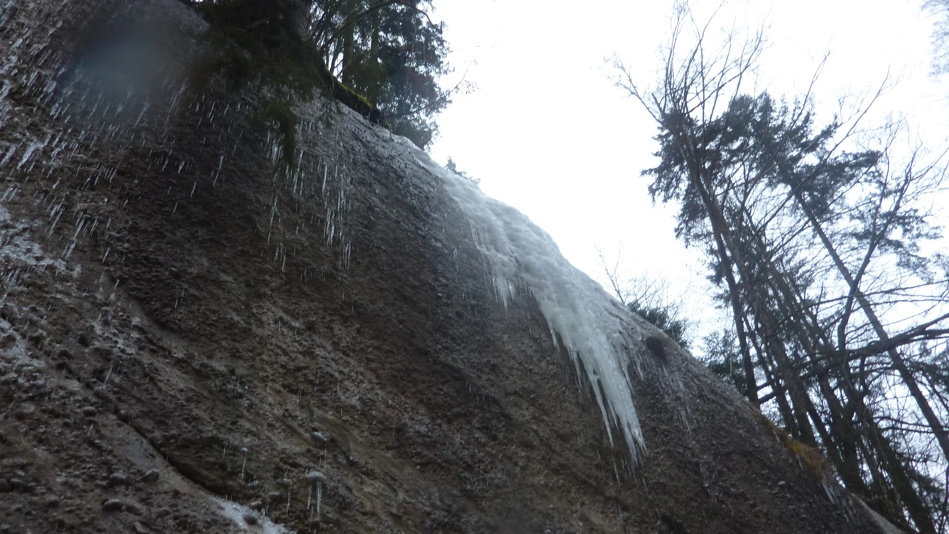 DAV-Senioren unterwegs im Eistobel | © Max Bischofberger