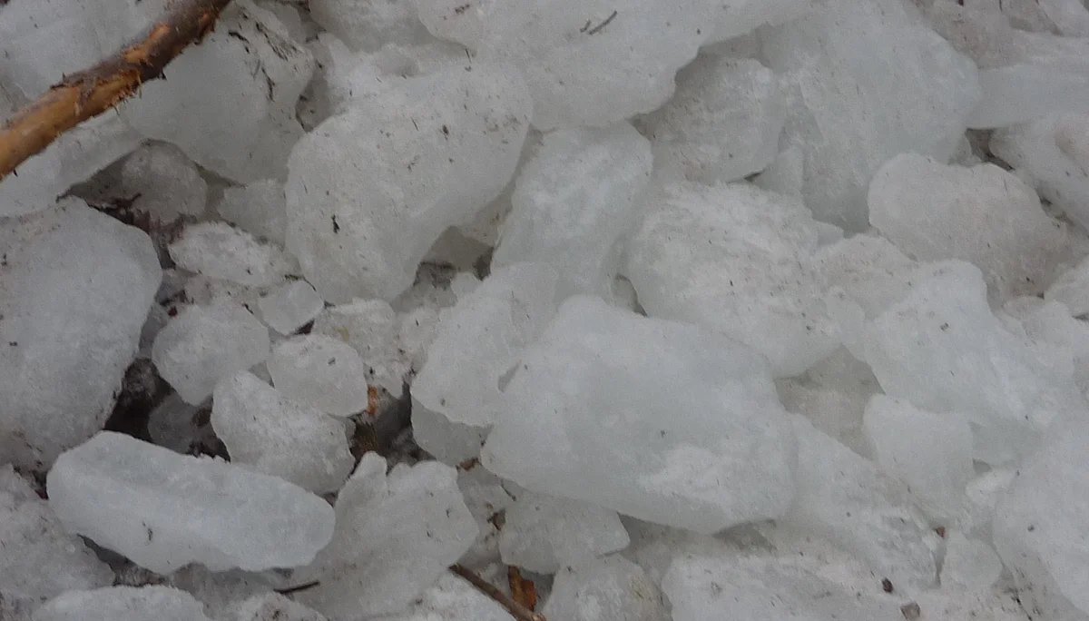 DAV-Senioren unterwegs im Eistobel | © Max Bischofberger