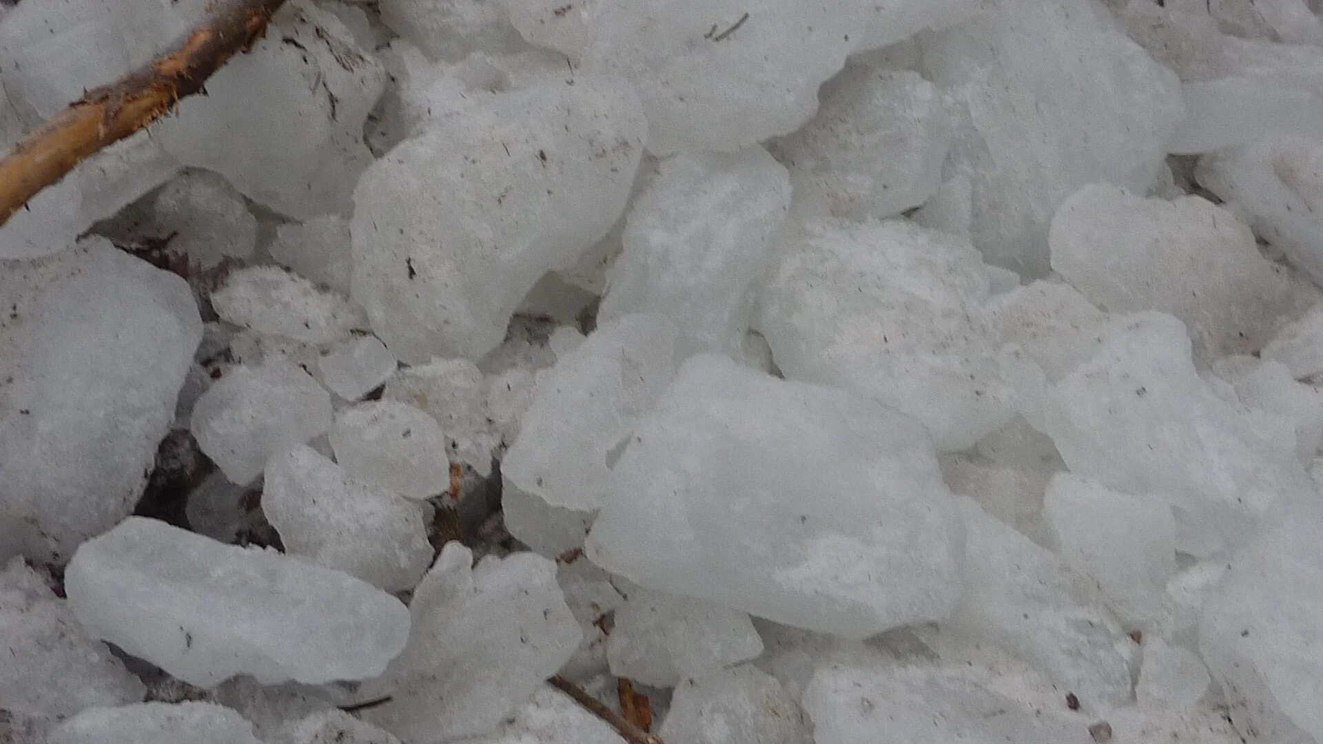 DAV-Senioren unterwegs im Eistobel | © Max Bischofberger