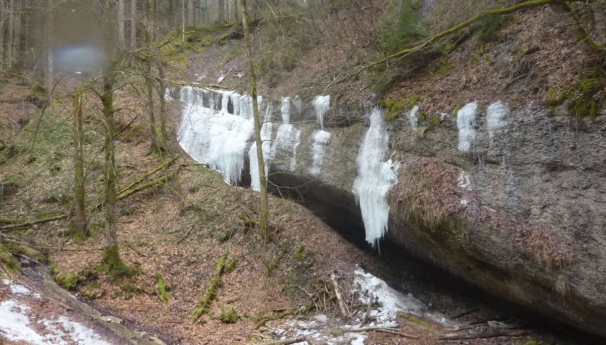 DAV-Senioren unterwegs im Eistobel | © Max Bischofberger
