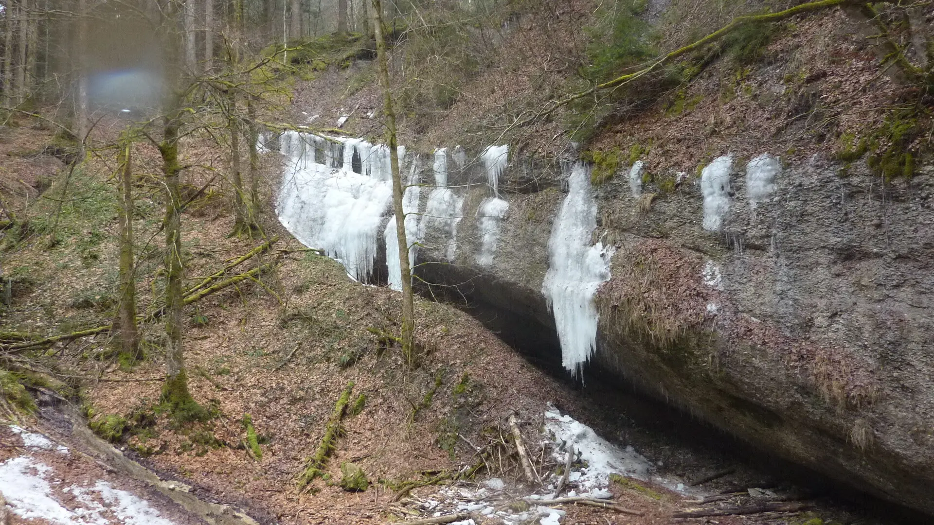 DAV-Senioren unterwegs im Eistobel | © Max Bischofberger