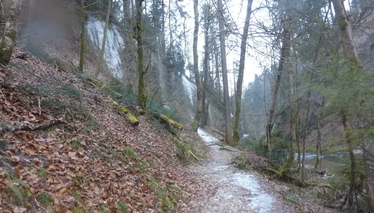 DAV-Senioren unterwegs im Eistobel | © Max Bischofberger