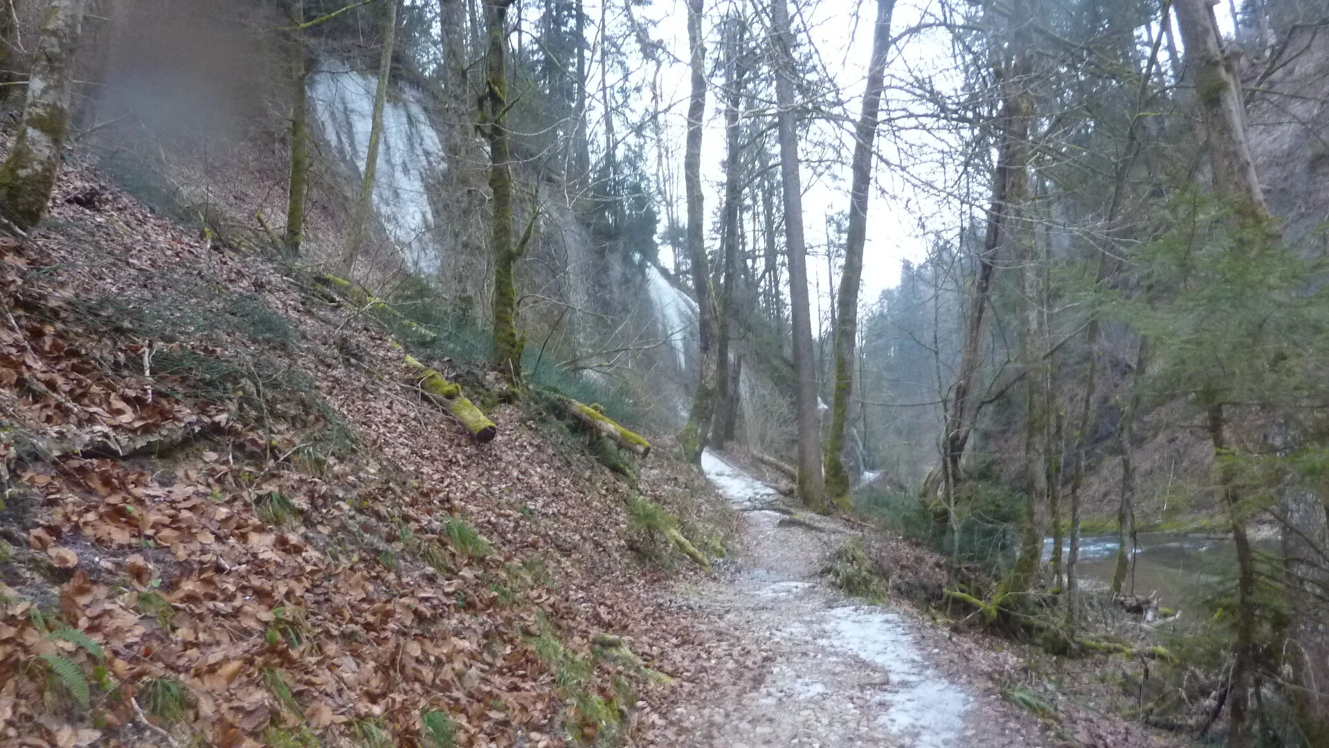 DAV-Senioren unterwegs im Eistobel | © Max Bischofberger