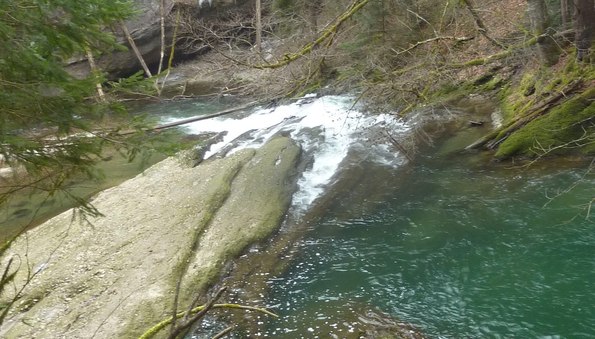 Blick auf Wasserfall von Brücke ,hier nach Schüttentobel oder Riedholz | © Max Bischofberger