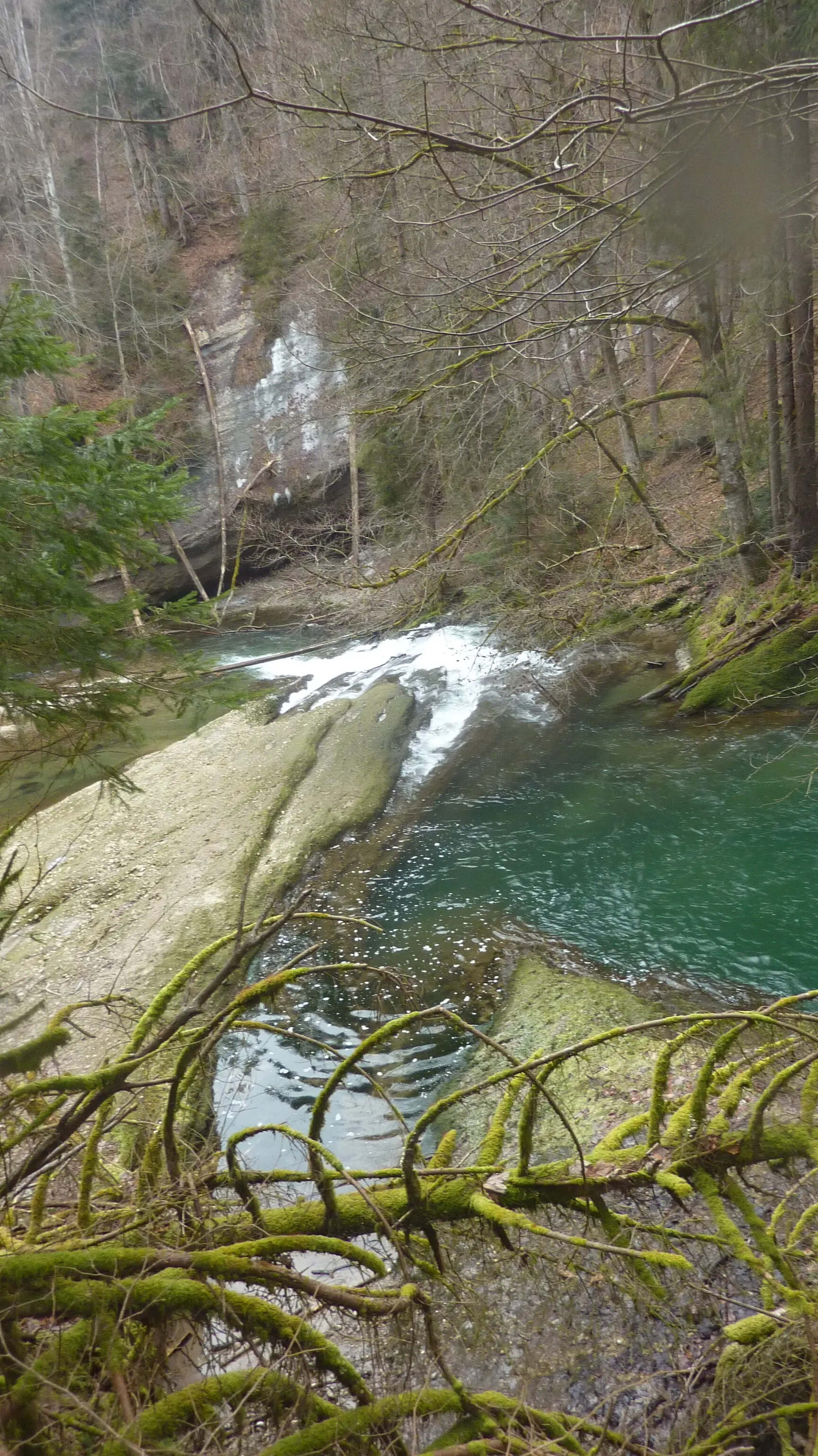Blick auf Wasserfall von Brücke ,hier nach Schüttentobel oder Riedholz | © Max Bischofberger