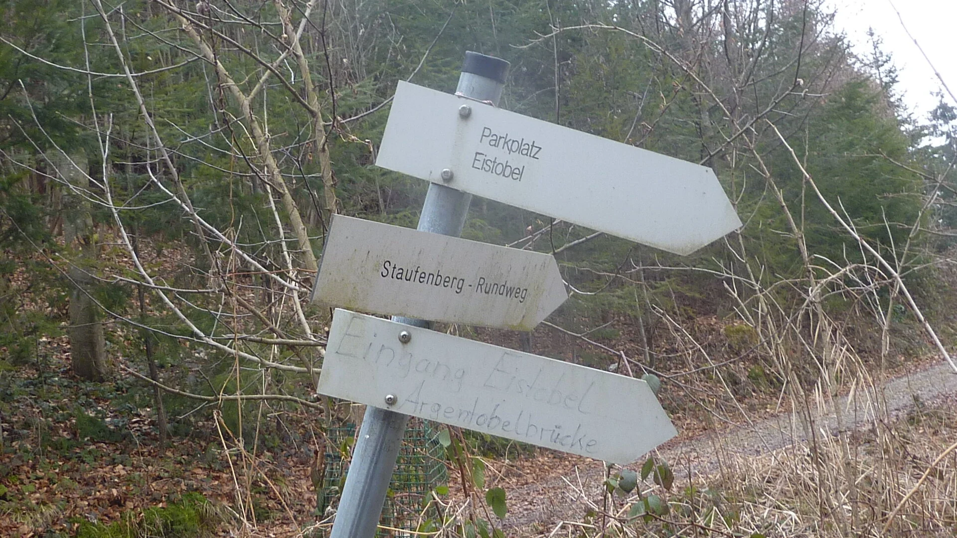 DAV-Senioren unterwegs im Eistobel | © Max Bischofberger