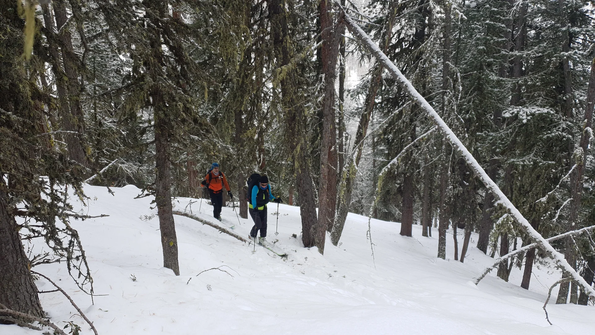 Skitourentage am Reschen | © Hubert Beck