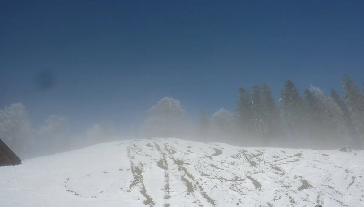 Schneeschuhtour rund um den Brüggele-Kopf | © Max Bischofberger