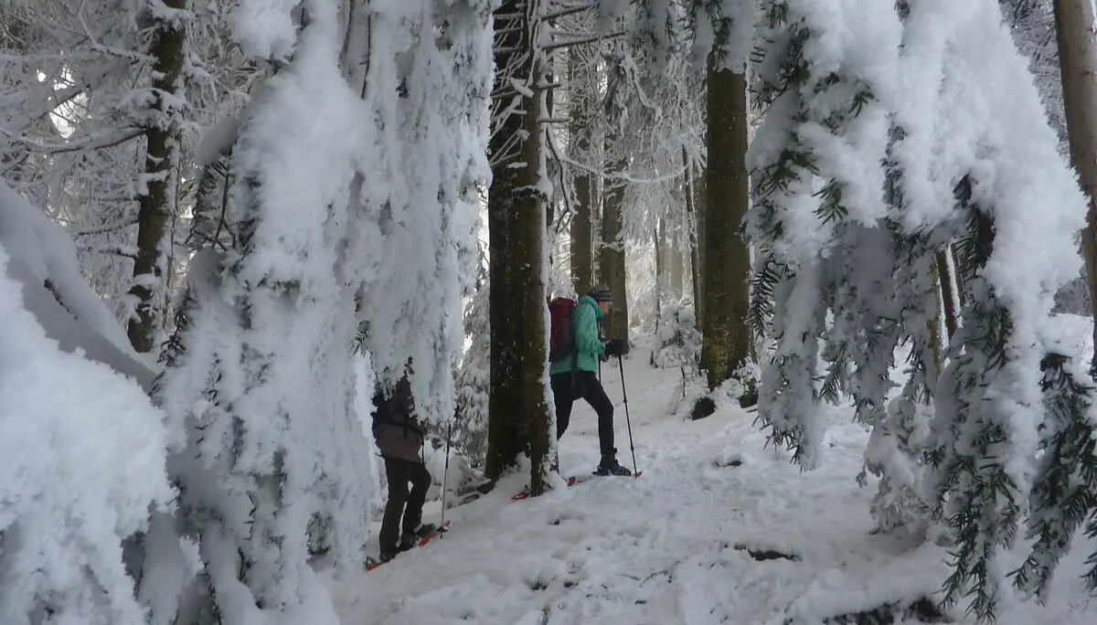 Schneeschuhtour rund um den Brüggele-Kopf | © Max Bischofberger