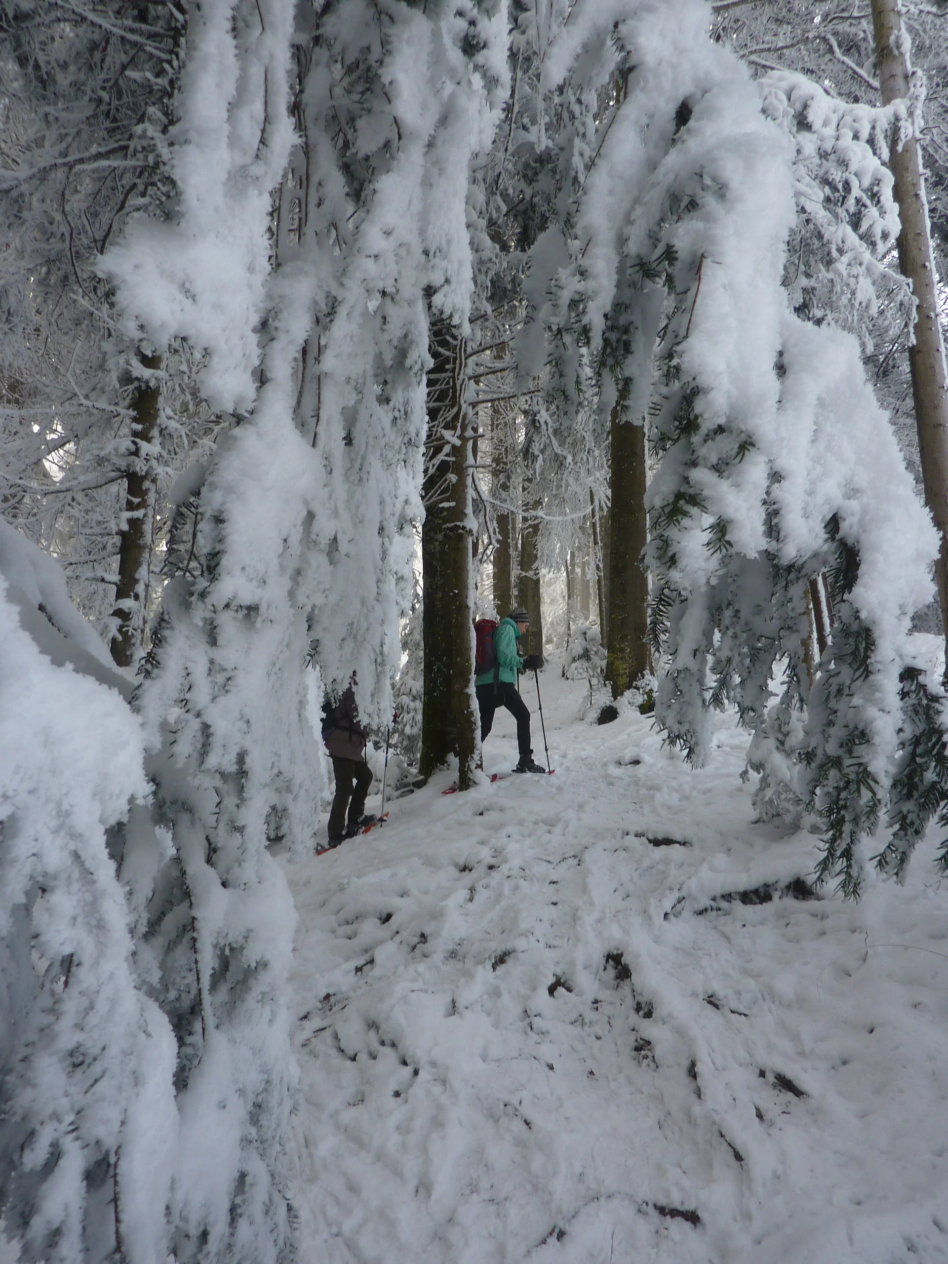 Schneeschuhtour rund um den Brüggele-Kopf | © Max Bischofberger