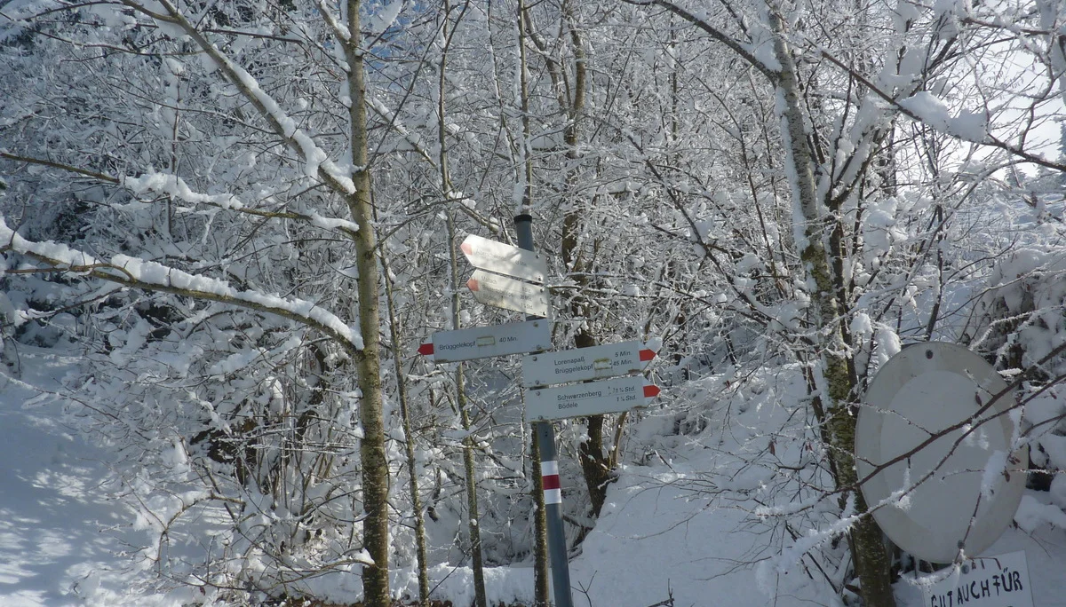Schneeschuhtour rund um den Brüggele-Kopf | © Max Bischofberger
