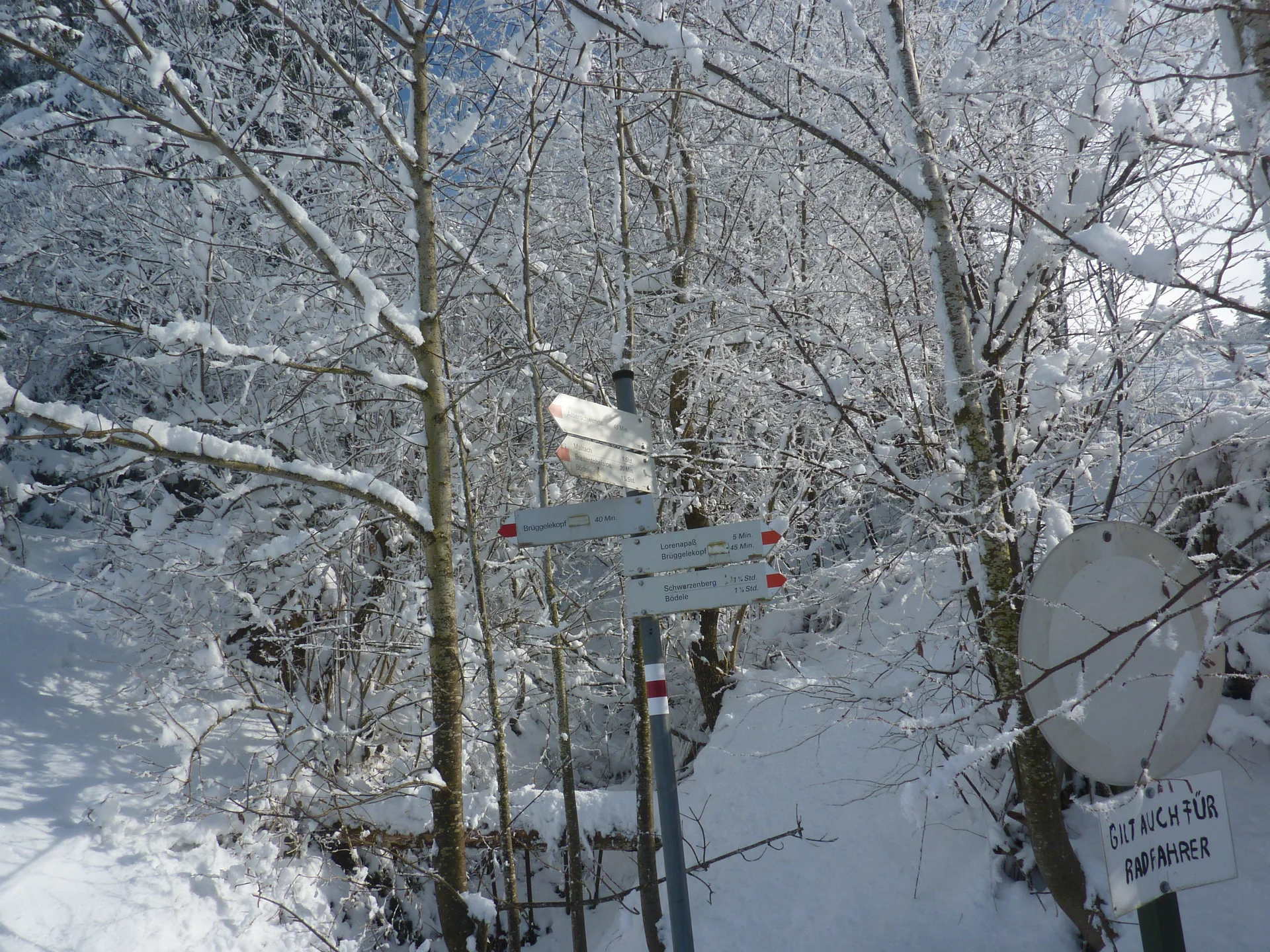 Schneeschuhtour rund um den Brüggele-Kopf | © Max Bischofberger