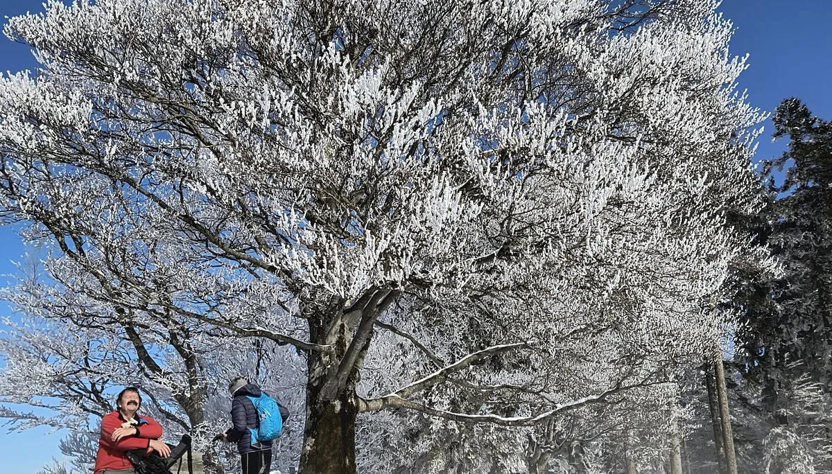 Schneeschuhtour rund um den Brüggele-Kopf | © Christ