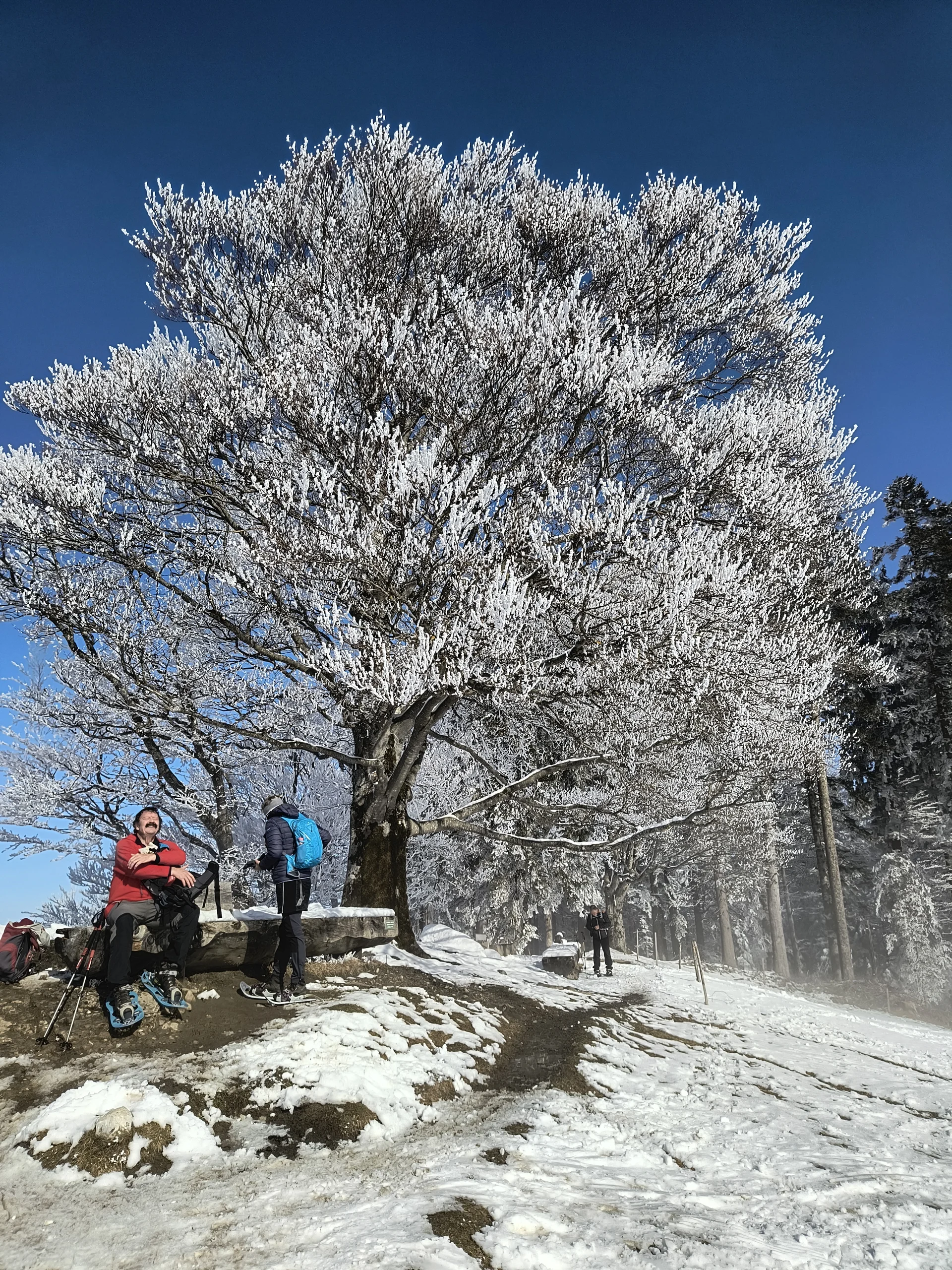 Schneeschuhtour rund um den Brüggele-Kopf | © Christ