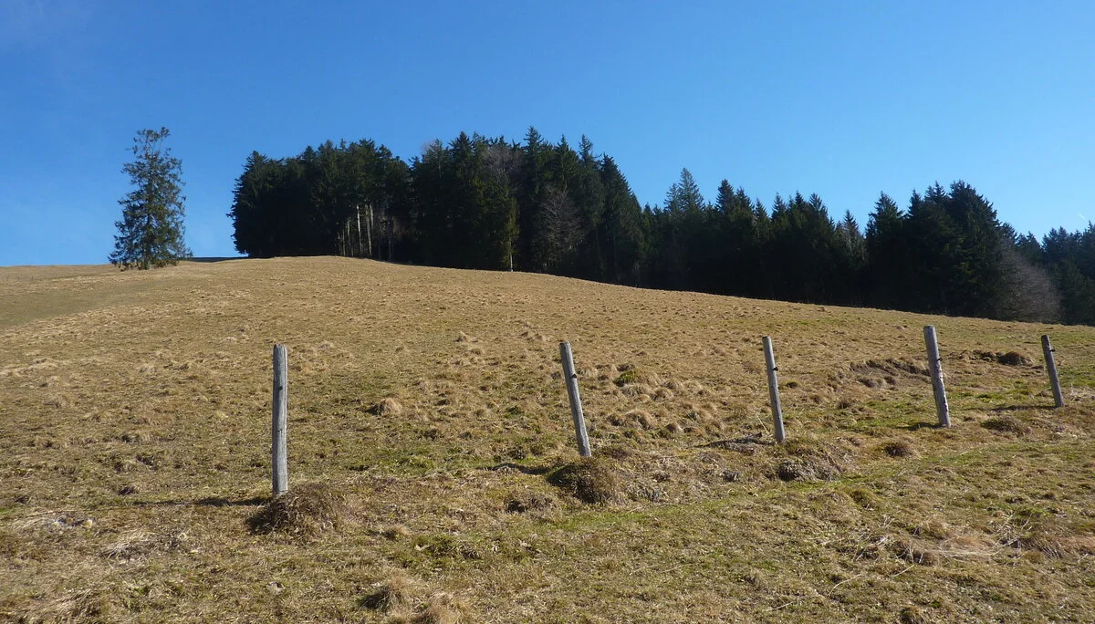 Wanderung über die Kalzhofer Höhe | © Max Bischofberger