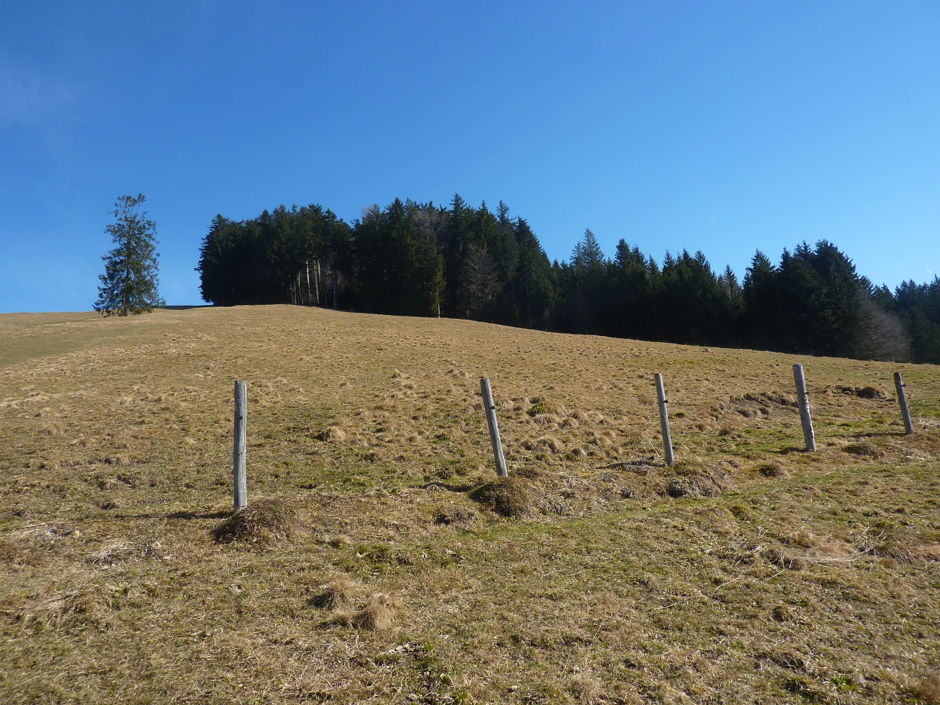 Wanderung über die Kalzhofer Höhe | © Max Bischofberger
