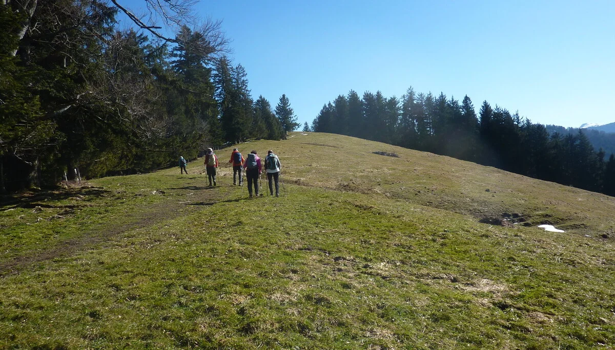 Wanderung über die Kalzhofer Höhe | © Max Bischofberger
