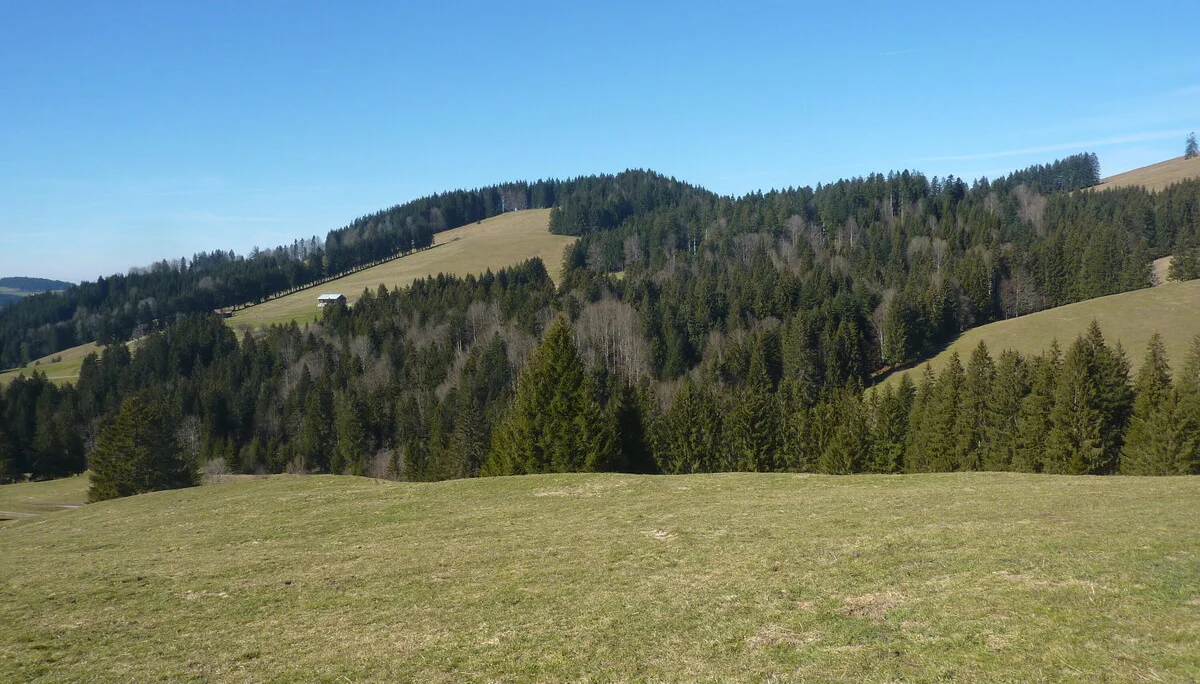 Wanderung über die Kalzhofer Höhe | © Max Bischofberger