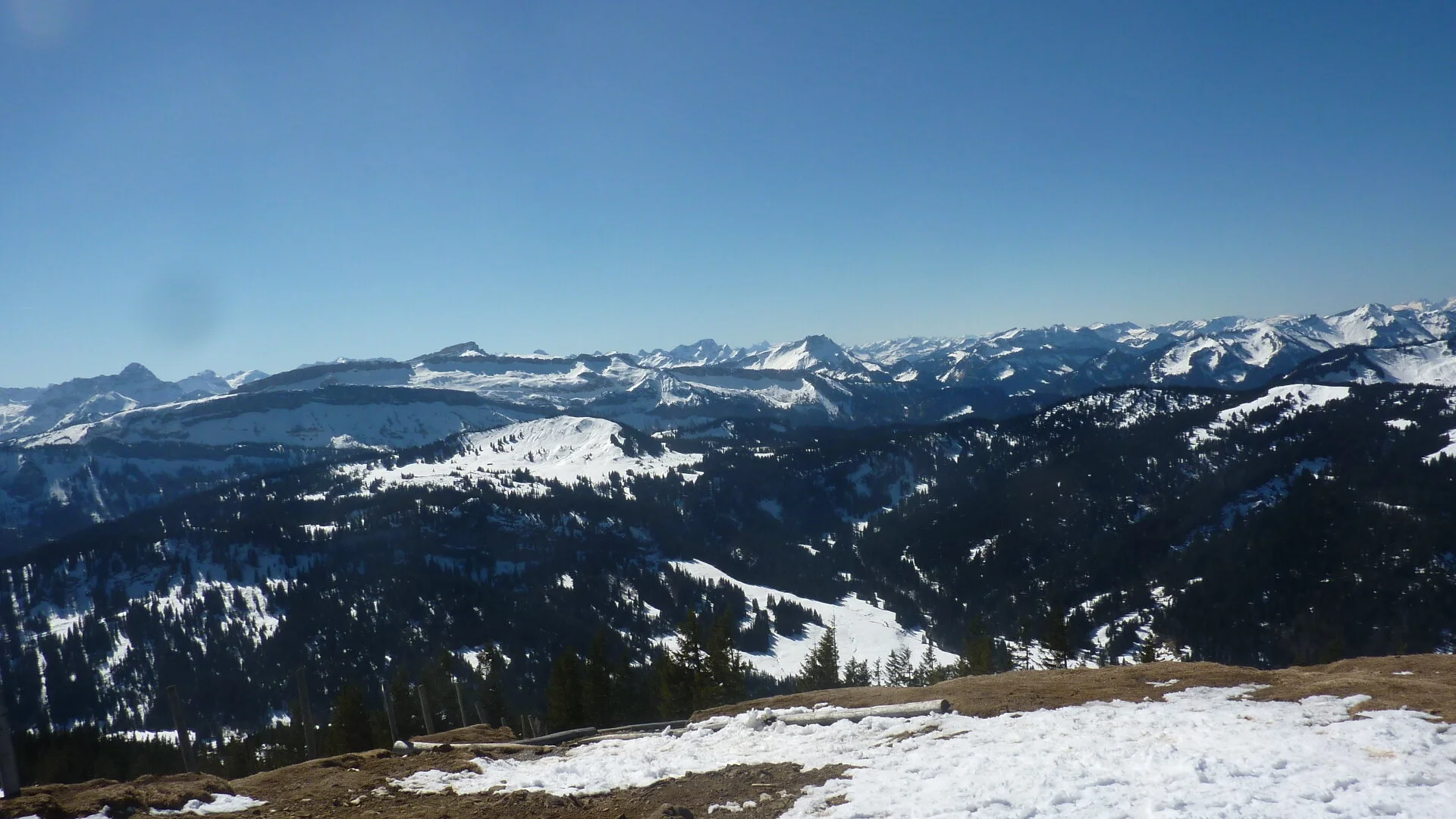 Allgäuer | © Max Bischofberger