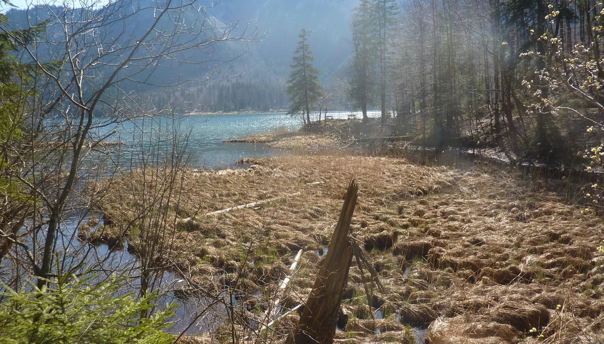 Wanderung um Alpsee | © Max Bischofberger