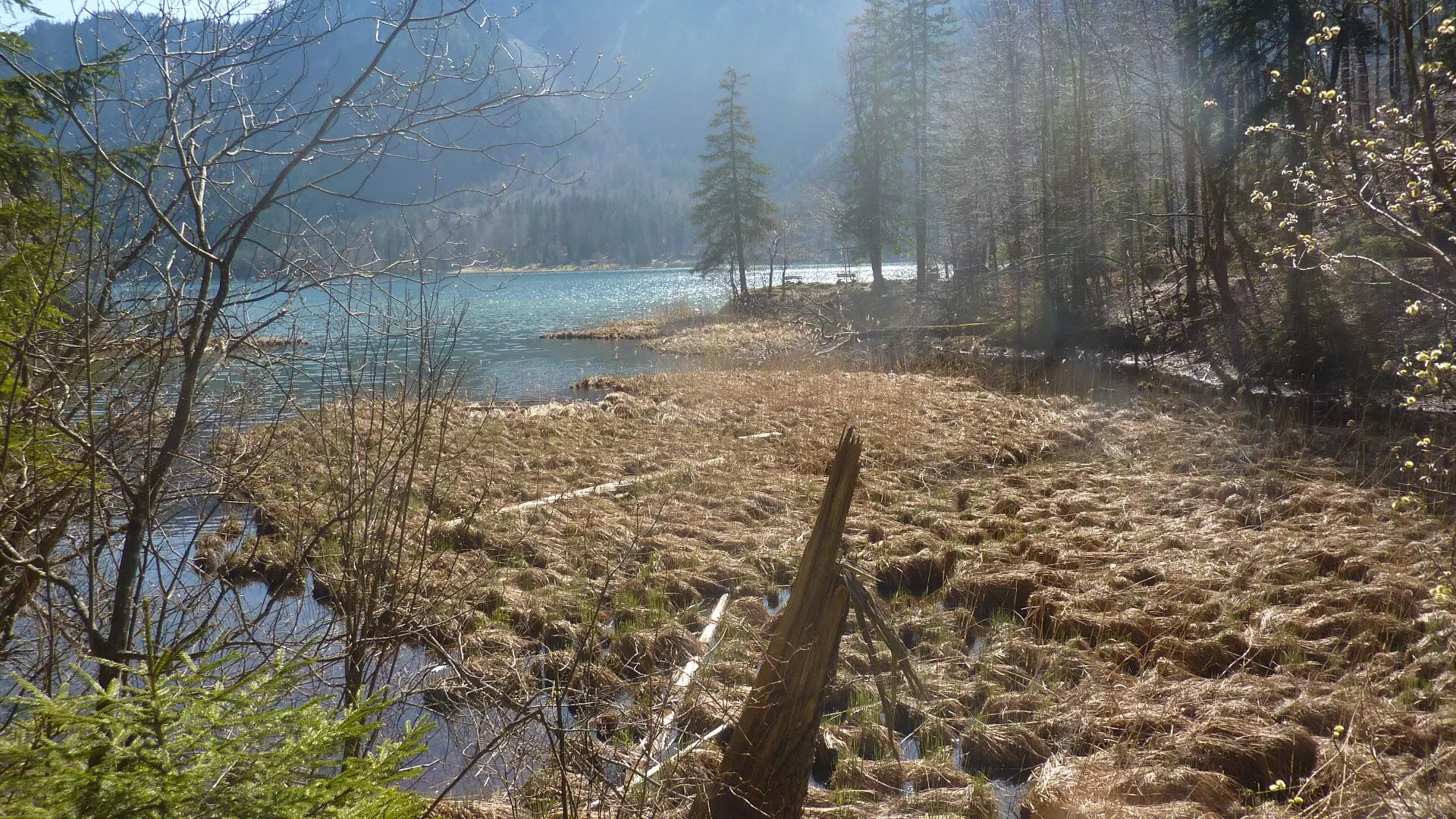 Wanderung um Alpsee | © Max Bischofberger