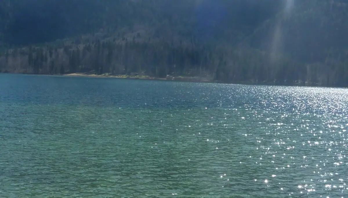 Blick zum Säuling | © Max Bischofberger