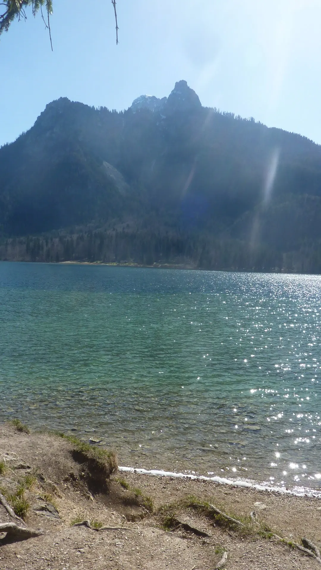 Blick zum Säuling | © Max Bischofberger