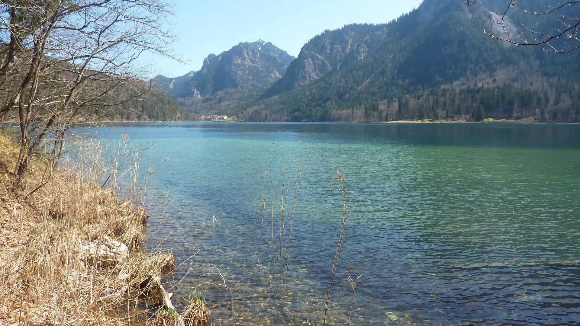 Blick  zum Ufer  in Hohenschwangau | © Max Bischofberger
