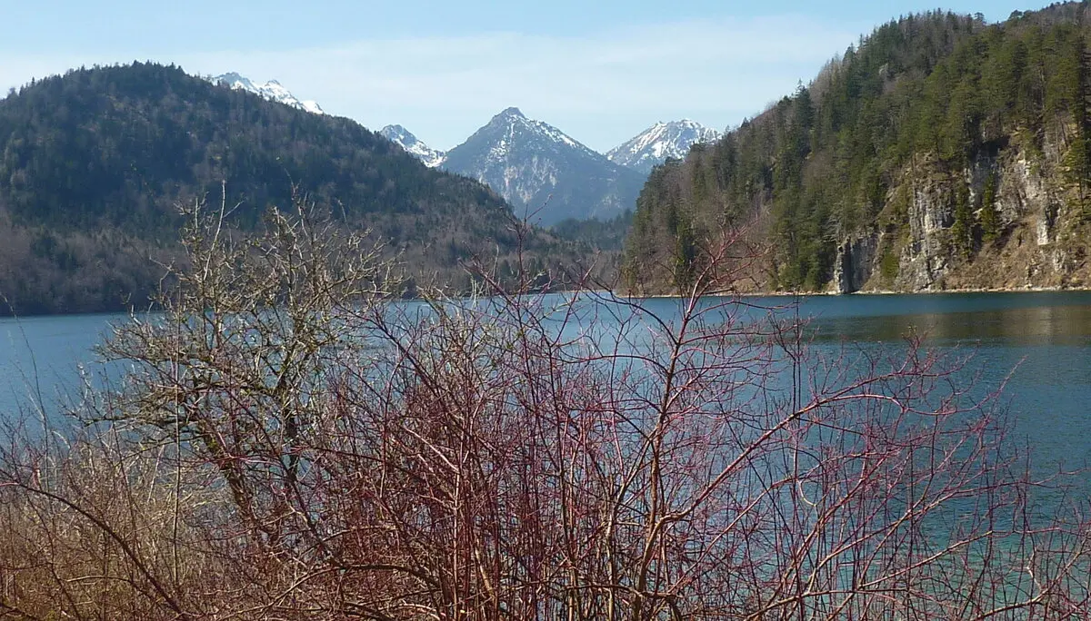Alpsee umgeben von hohen Bergen | © Max Bischofberger