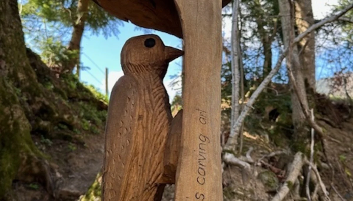 Rund um Hittisau | © Otmar Schneider