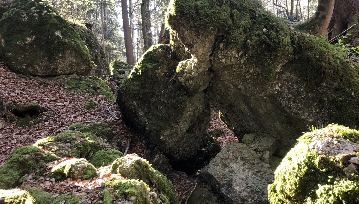 Rund um Hittisau | © Chris Maurus