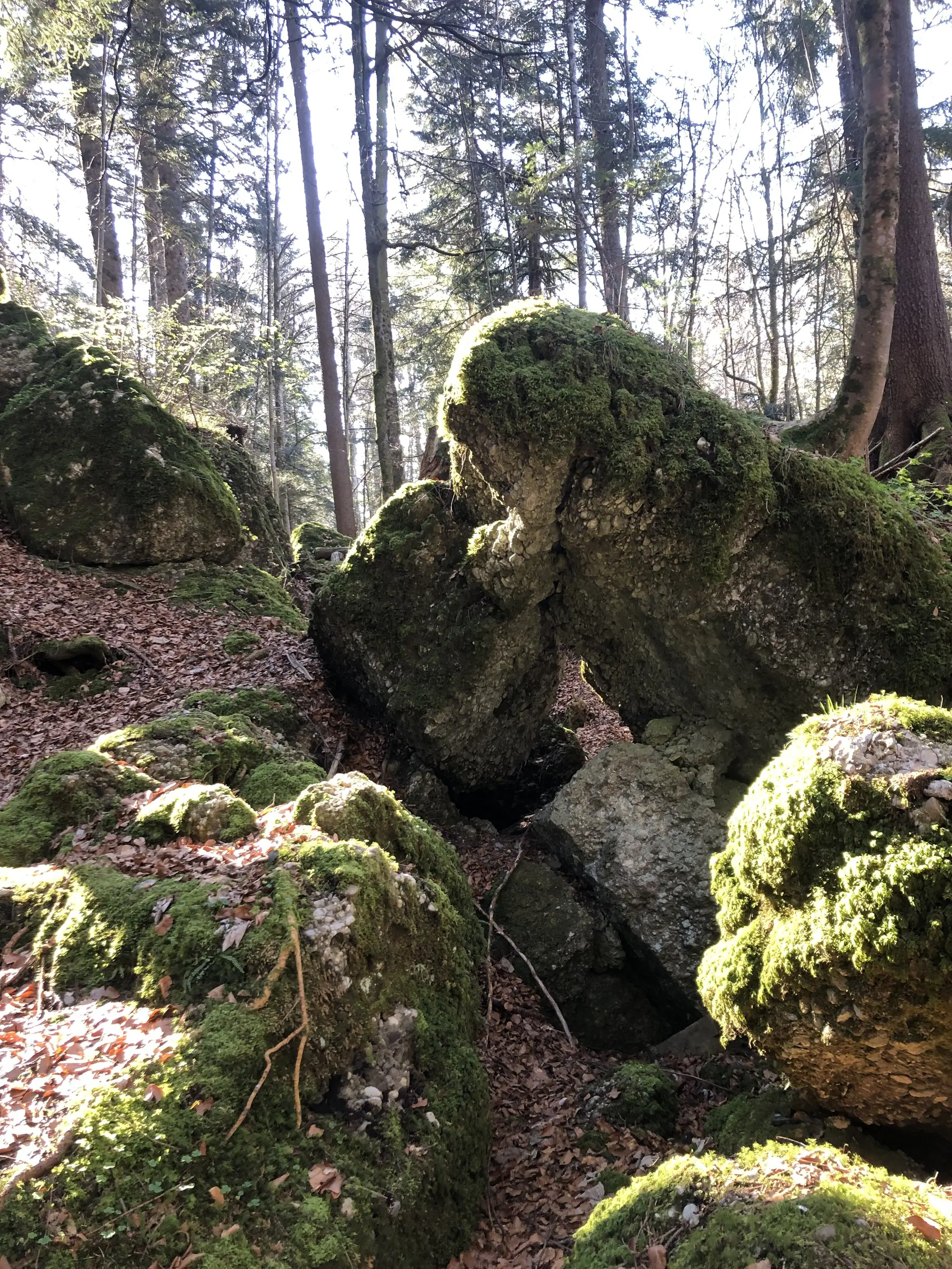 Rund um Hittisau | © Chris Maurus