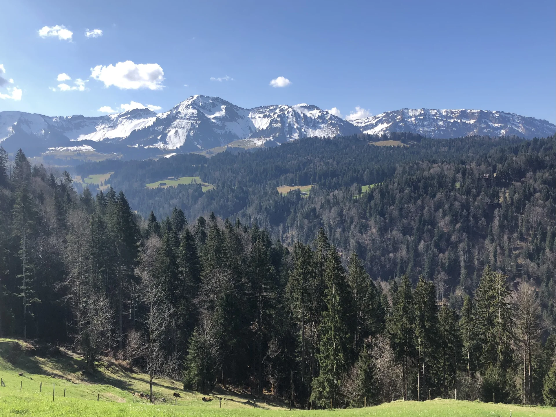 Rund um Hittisau | © Chris Maurus