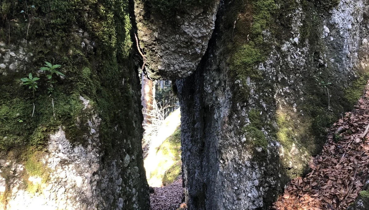 Rund um Hittisau | © Chris Maurus