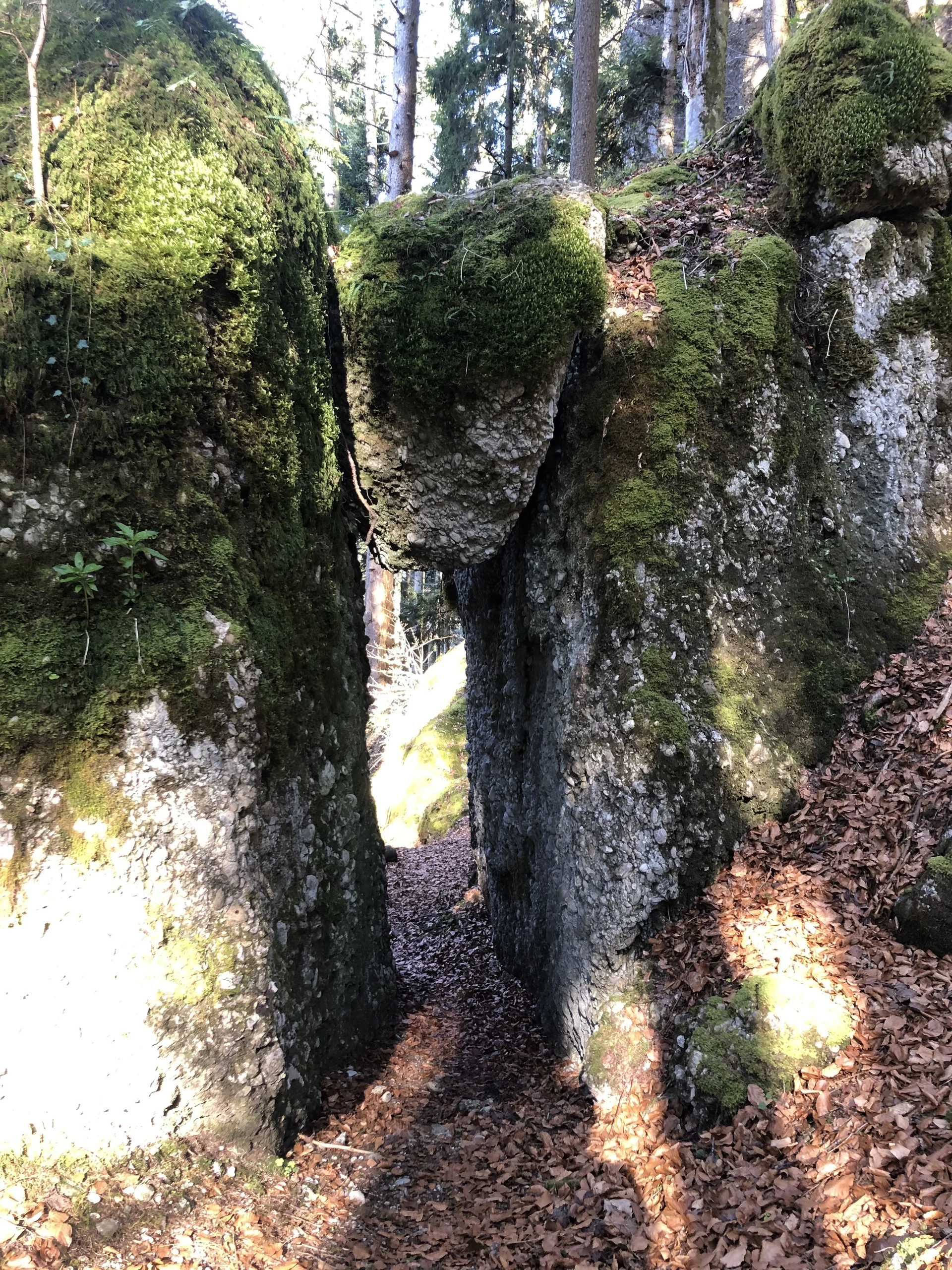 Rund um Hittisau | © Chris Maurus