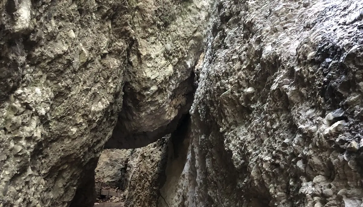 Rund um Hittisau | © Chris Maurus