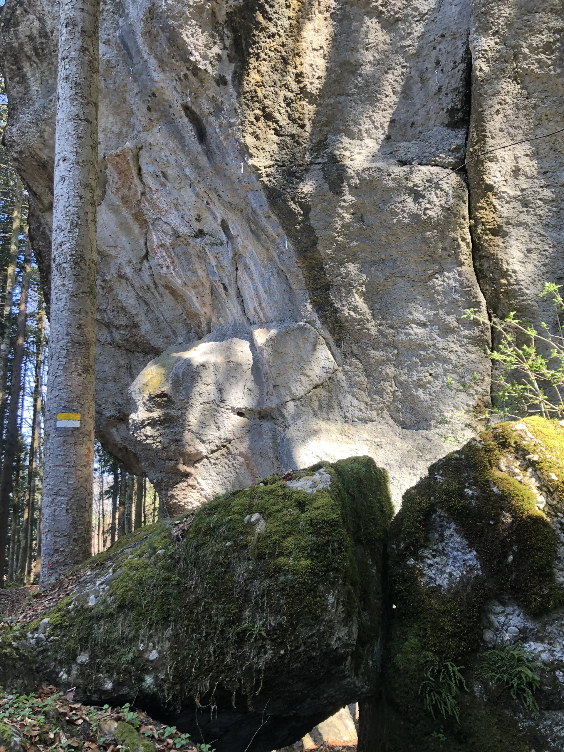 Rund um Hittisau | © Chris Maurus