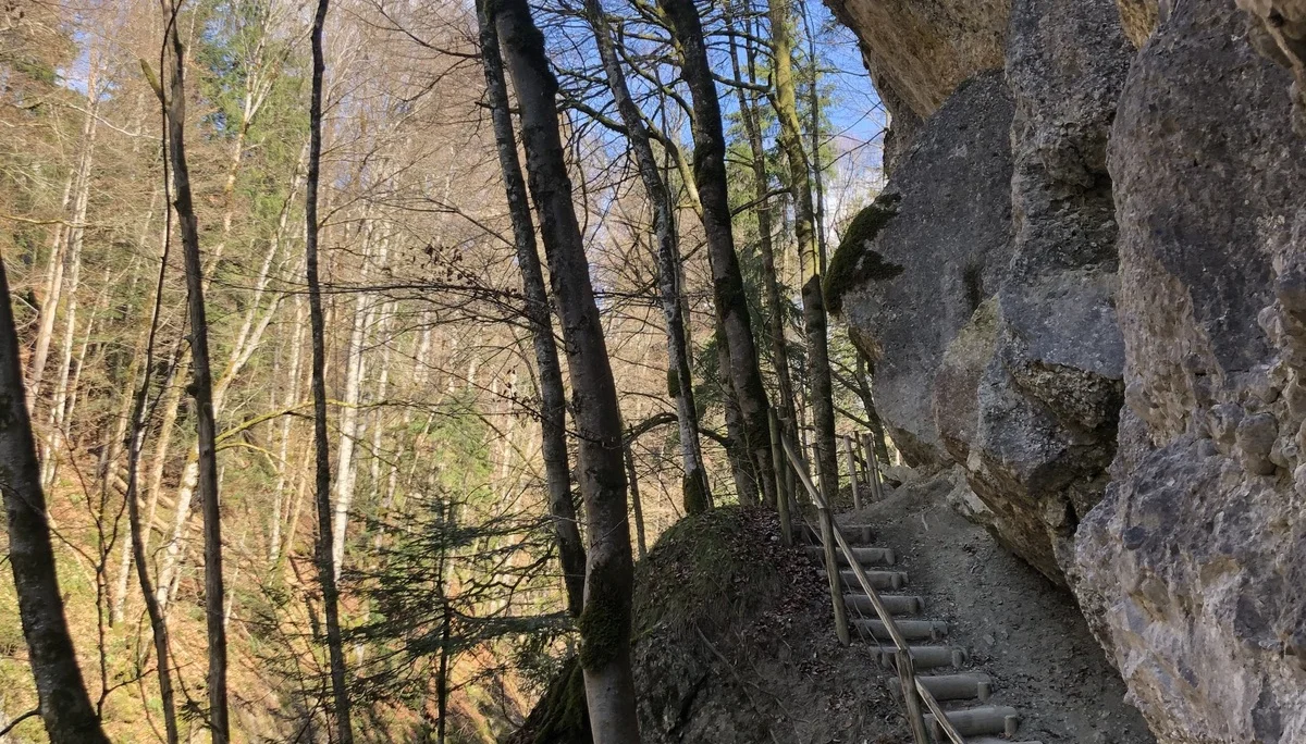 Rund um Hittisau | © Chris Maurus