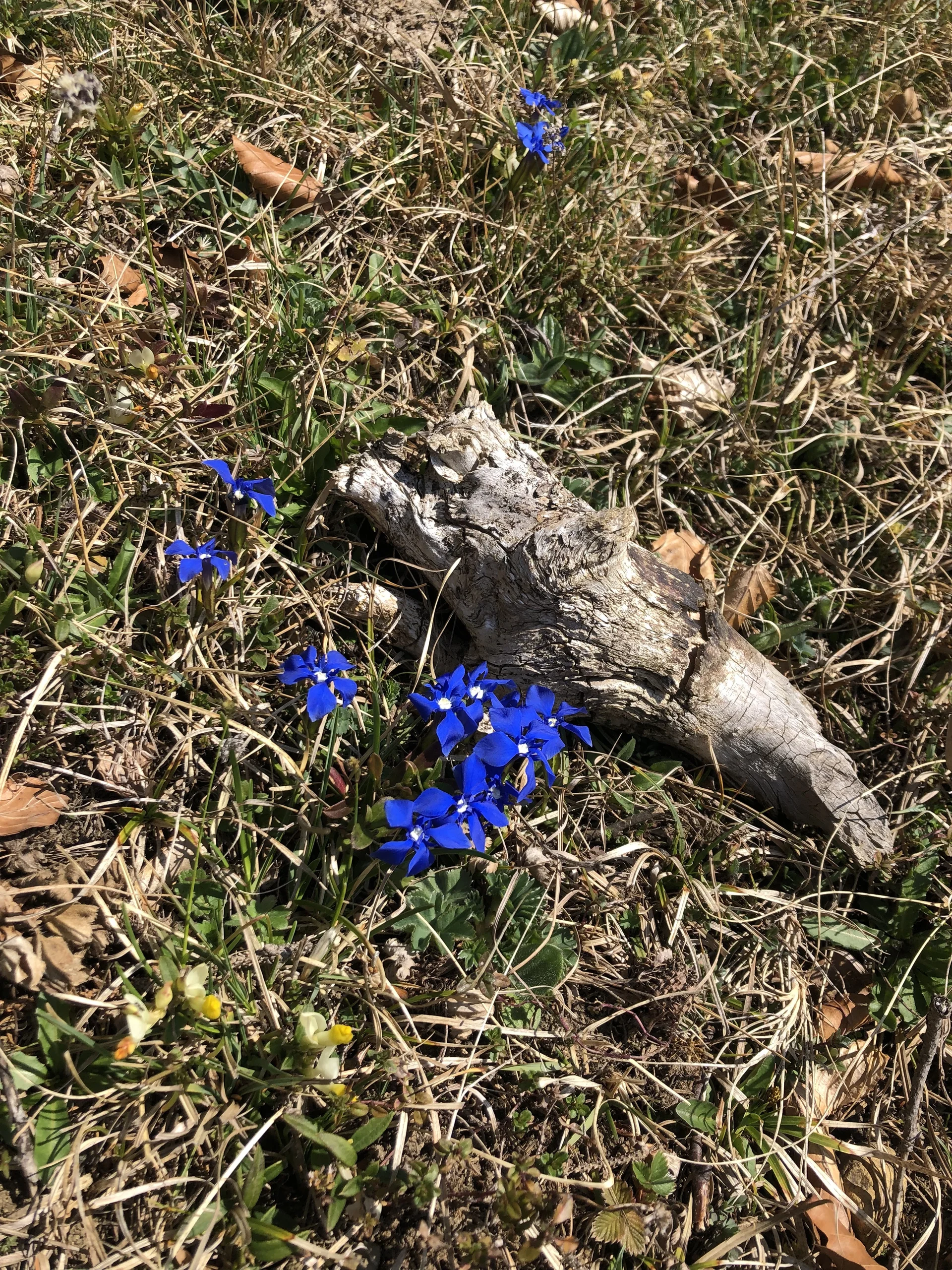 Rund um Hittisau | © Chris Maurus