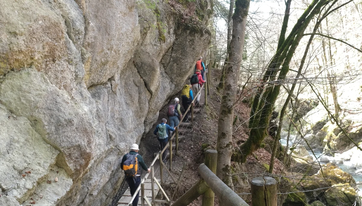 Rund um Hittisau | © Chris Maurus