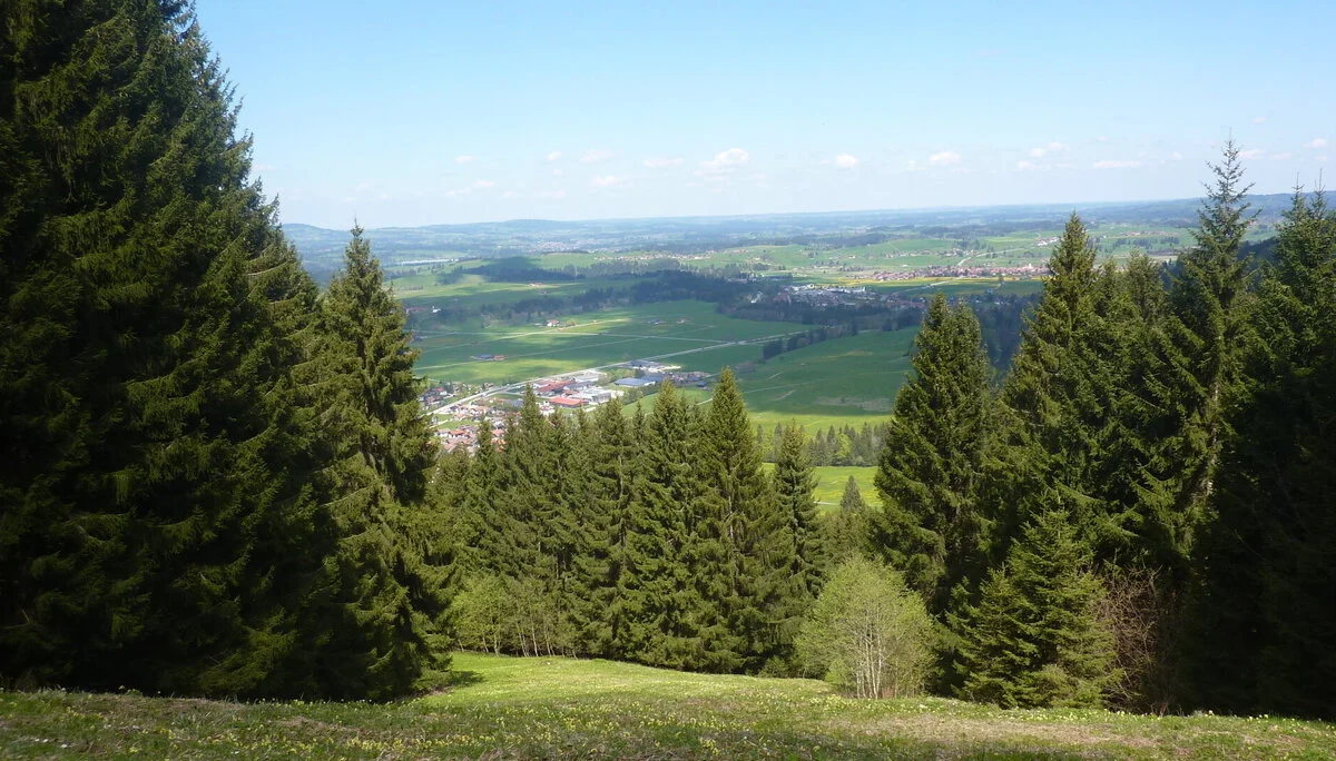 Blick in Buchinger Ebene | © Max Bischofberger