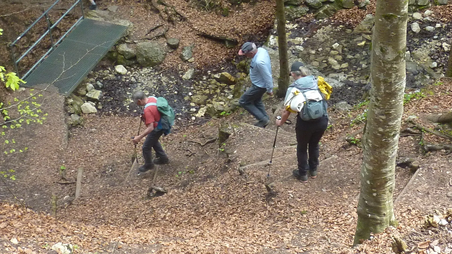 Im Bachweg | © Max Bischofberger