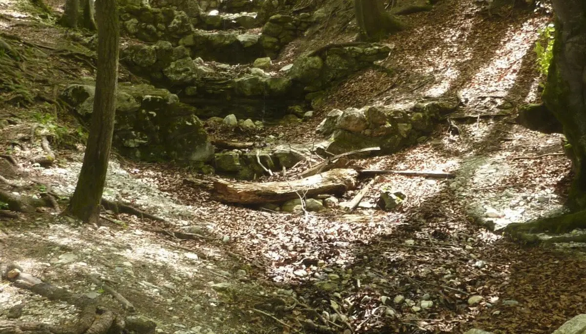 Im Bachweg | © Max Bischofberger