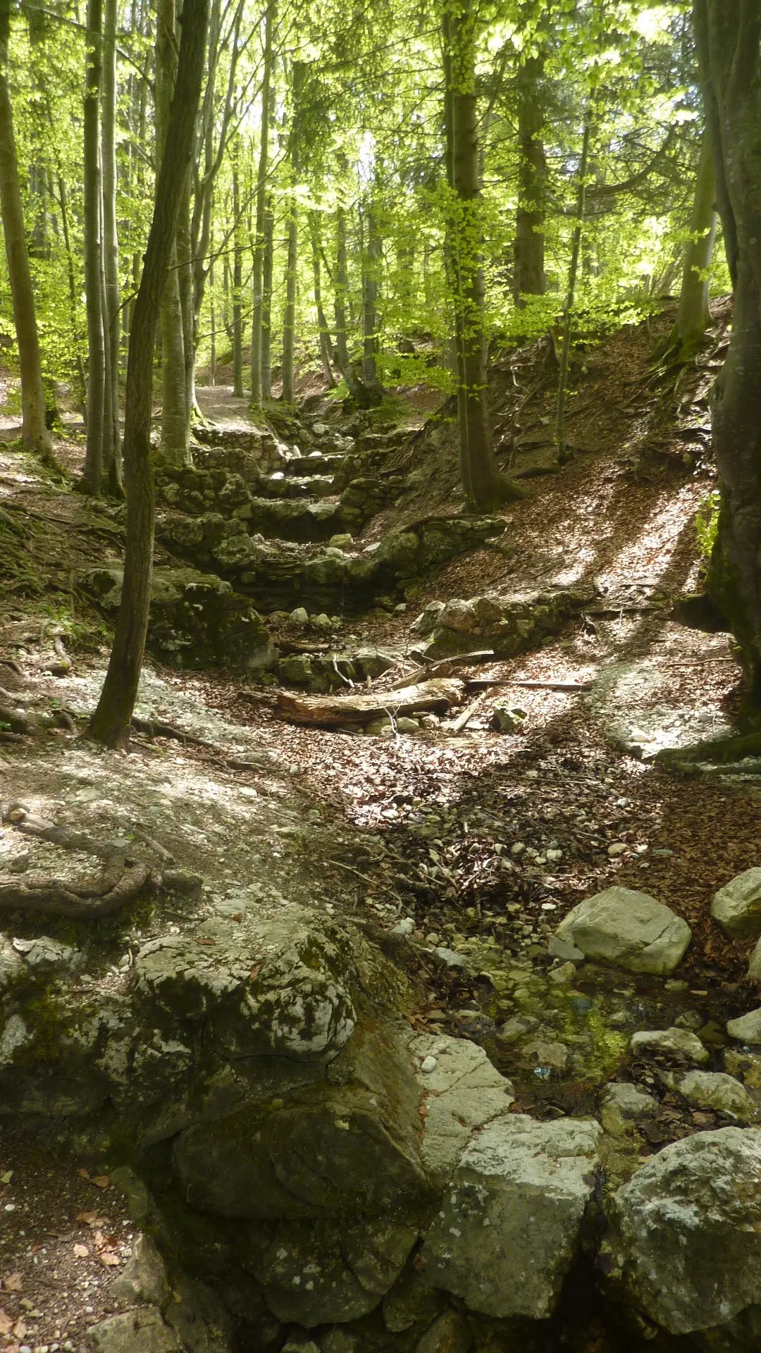 Im Bachweg | © Max Bischofberger