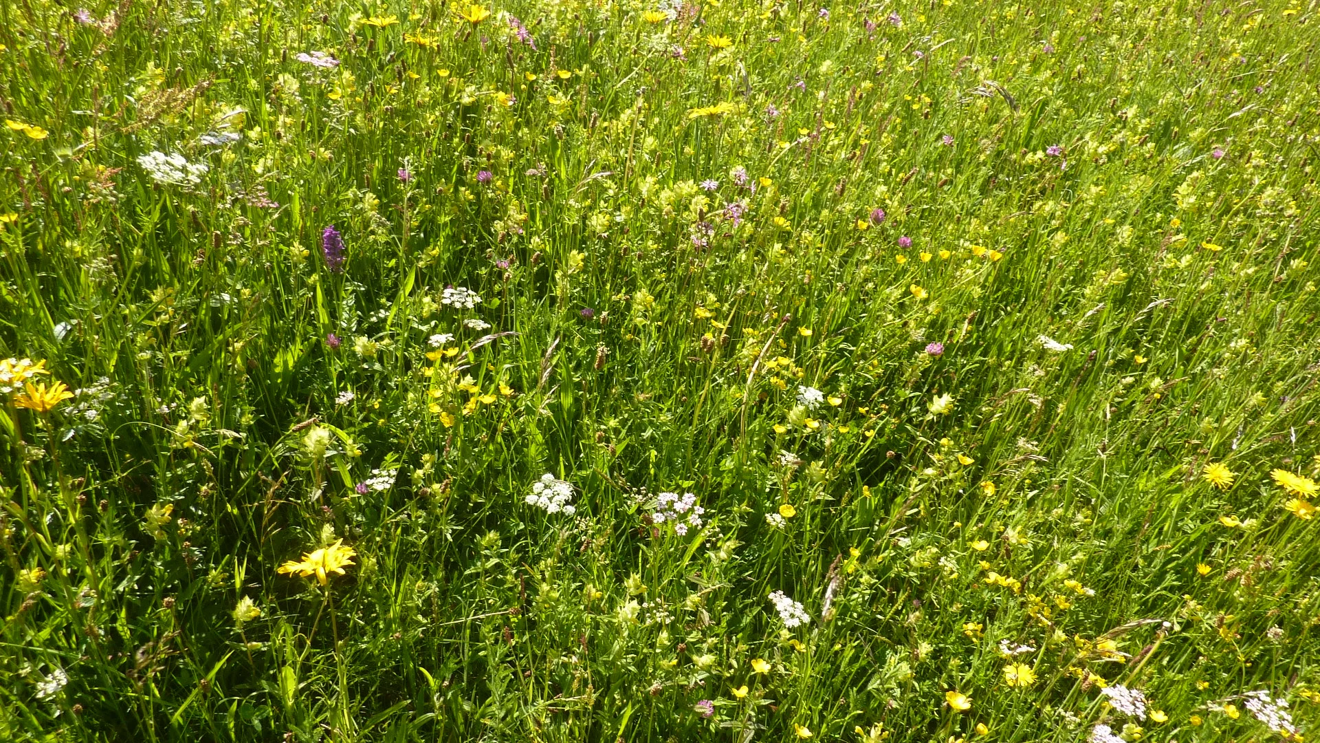 Tour Eisenberg Hohenfreyberg | © Max Bischofberger