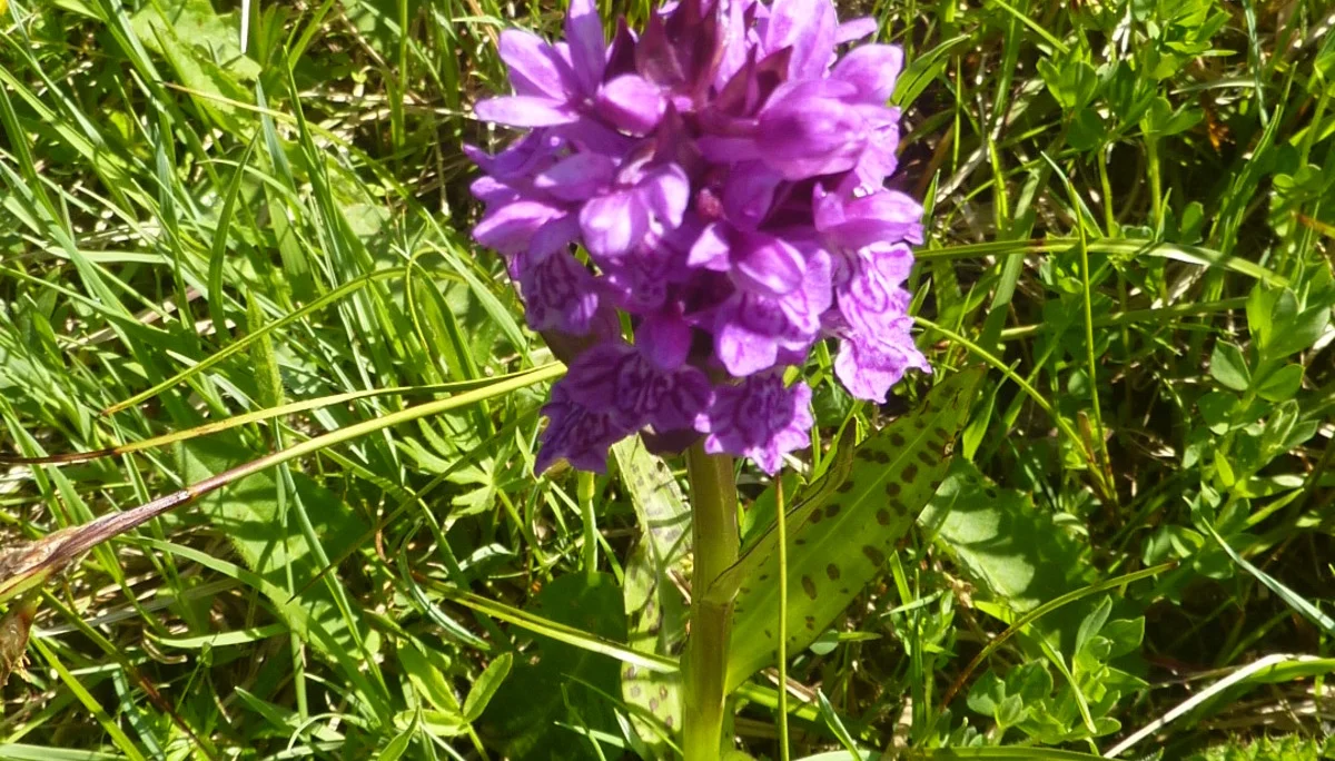 Tour Eisenberg Hohenfreyberg | © Max Bischofberger