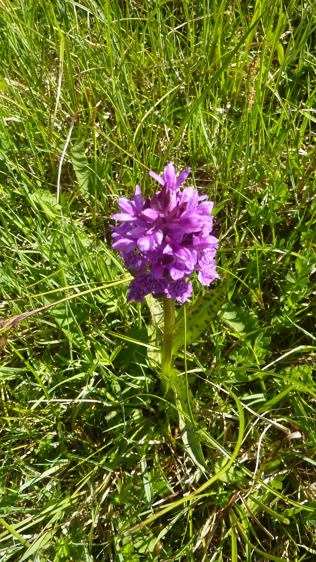 Tour Eisenberg Hohenfreyberg | © Max Bischofberger