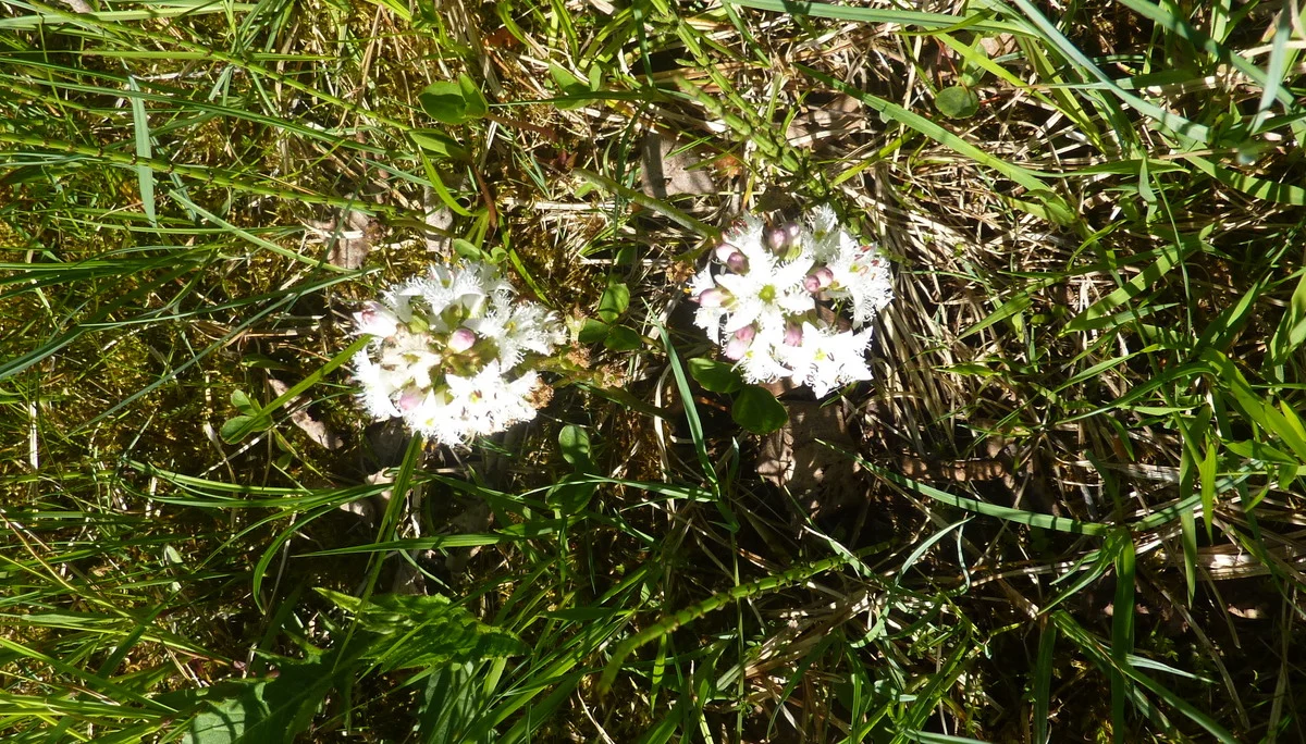 Tour Eisenberg Hohenfreyberg | © Max Bischofberger
