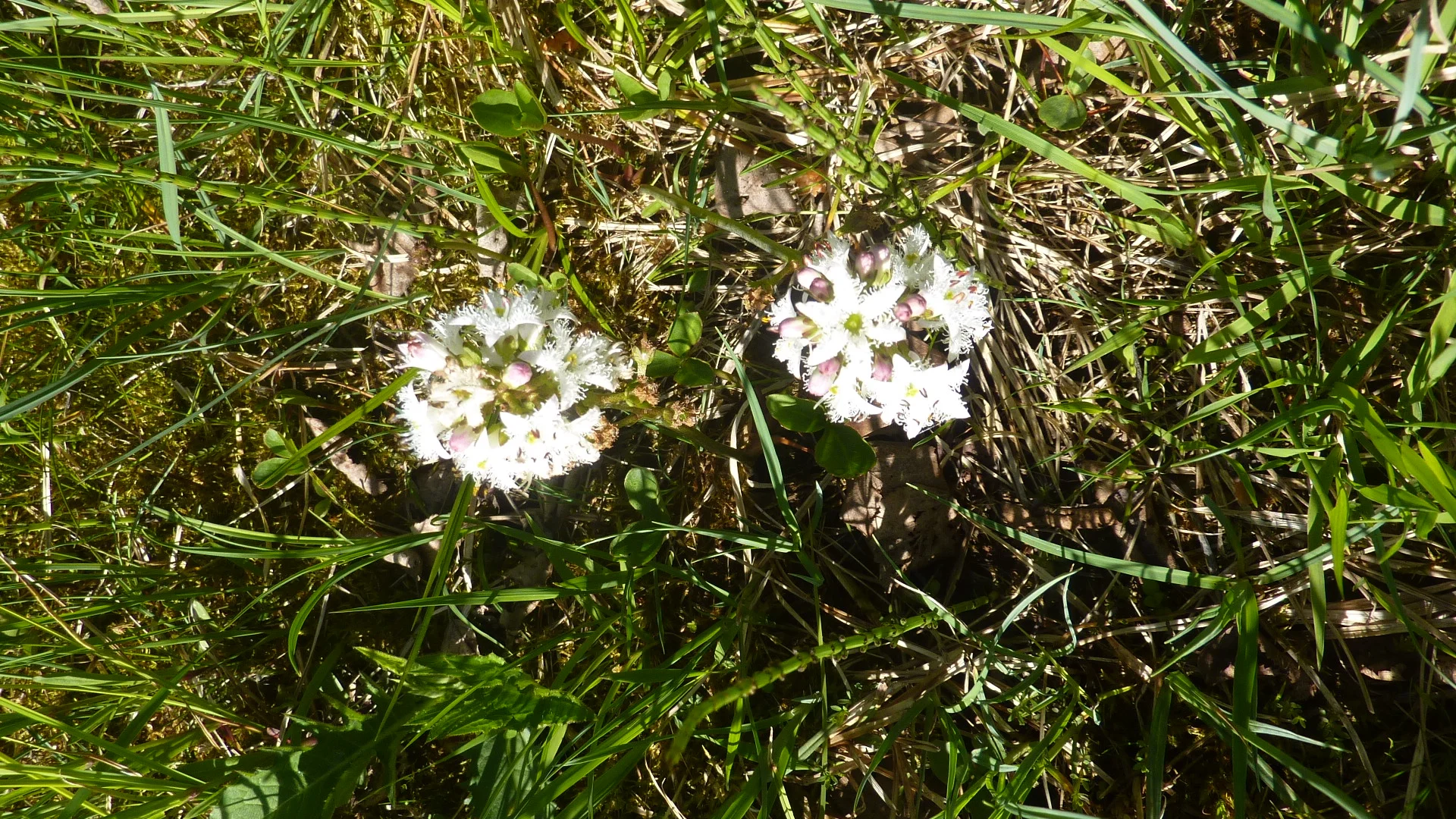 Tour Eisenberg Hohenfreyberg | © Max Bischofberger